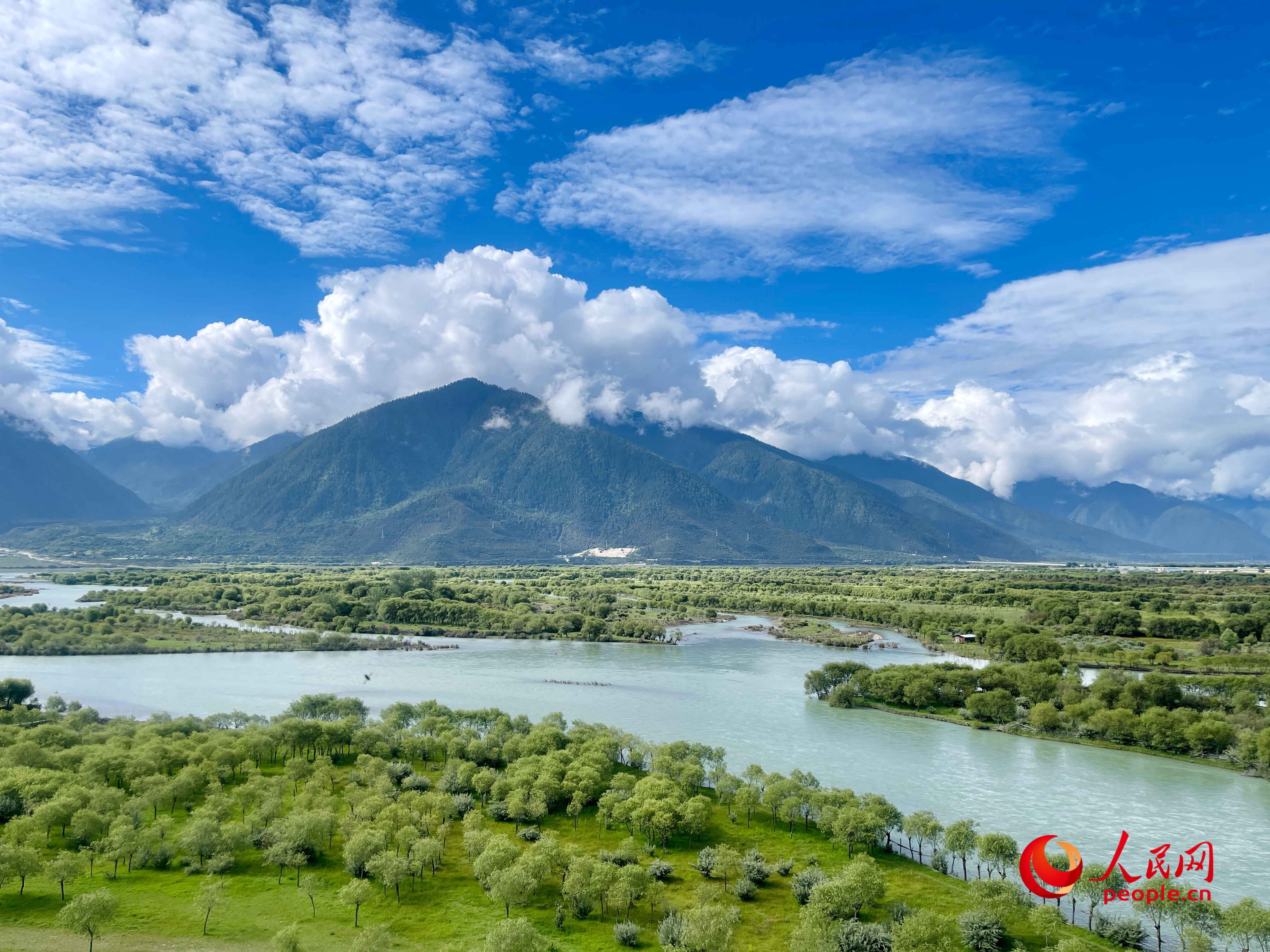 夏日的雅尼國(guó)家濕地公園生機(jī)盎然，如詩(shī)如畫(huà)。人民網(wǎng) 周靜圓攝