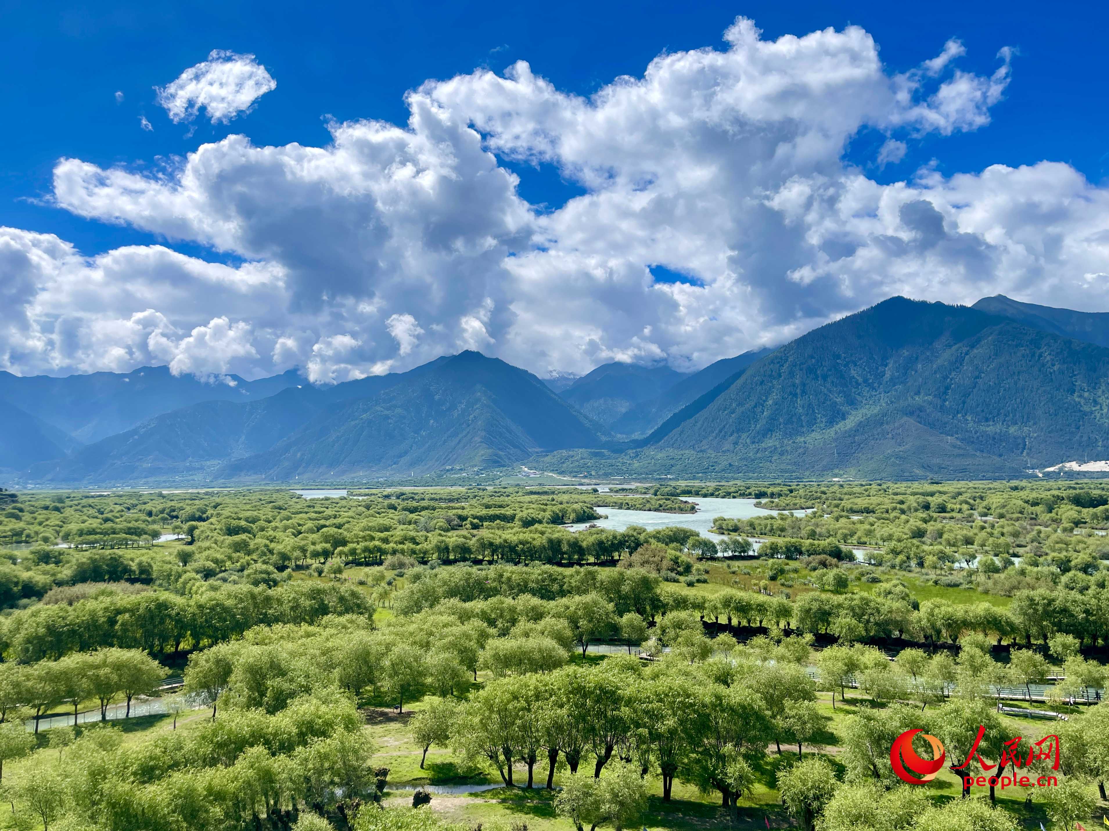 夏日的雅尼國(guó)家濕地公園生機(jī)盎然，如詩(shī)如畫(huà)。人民網(wǎng) 周靜圓攝