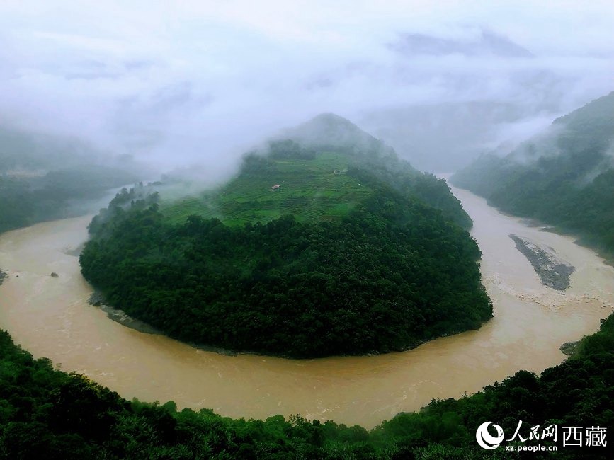 雅魯藏布江大峽谷蛇形拐彎處，山坡上種滿茶樹(shù)。