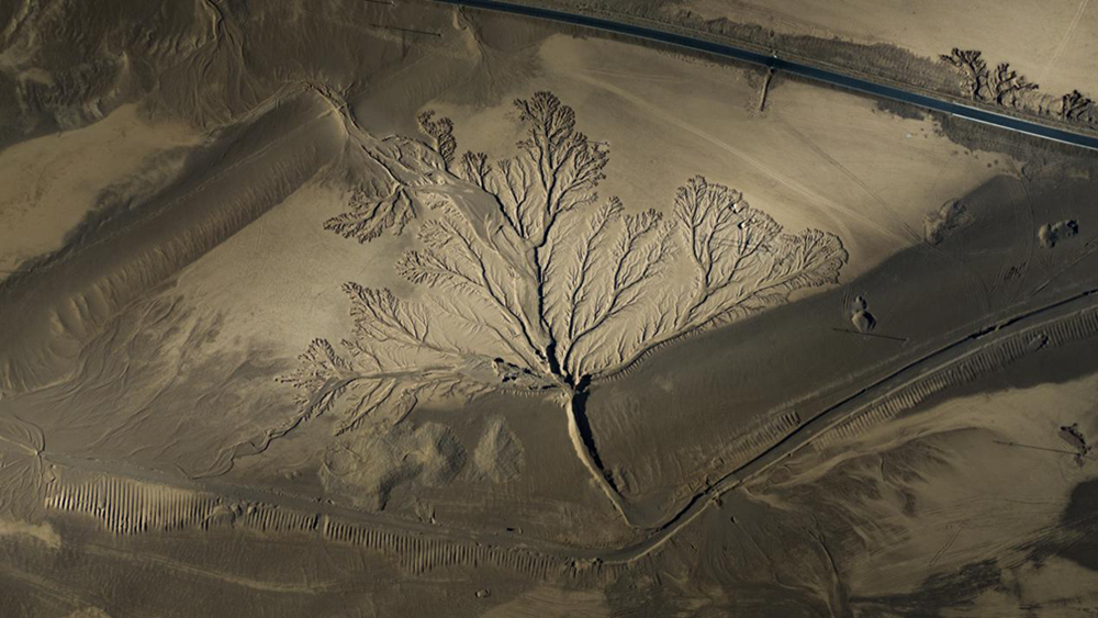 無(wú)人機(jī)視角下的西藏阿里地區(qū)改則縣“大地之樹”景觀。尼瑪多吉攝