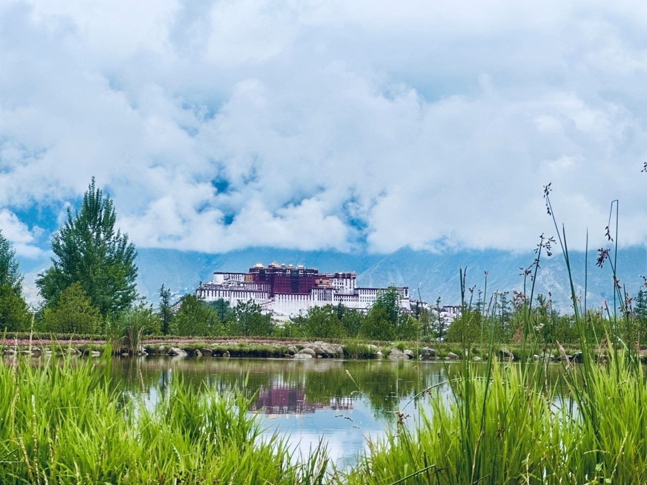 在南山公園遠(yuǎn)眺布達(dá)拉宮。人民網(wǎng)記者 益西康珠攝