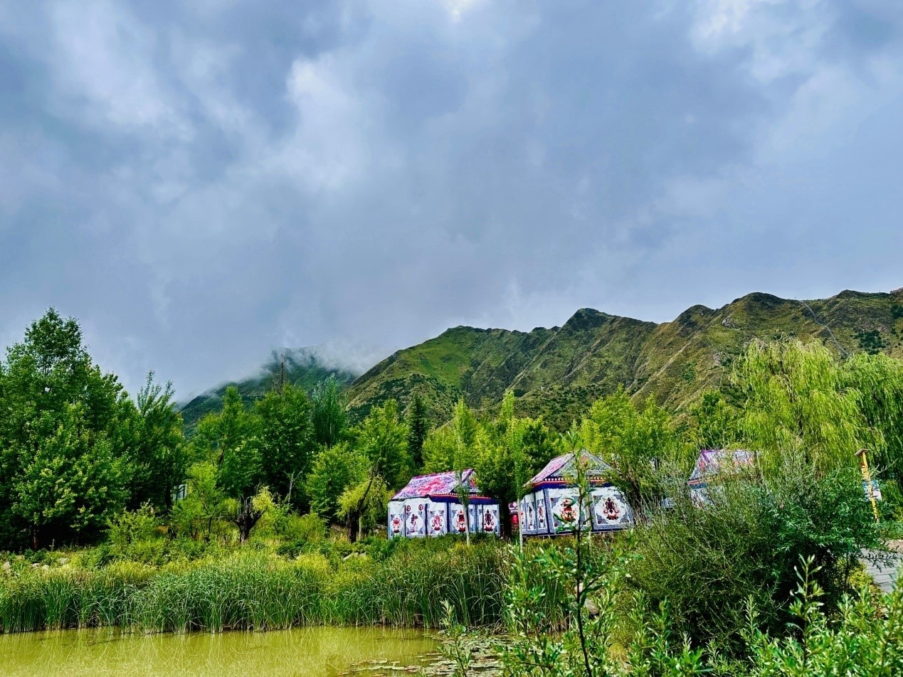 郁郁蔥蔥的南山公園。人民網(wǎng)記者 益西康珠攝