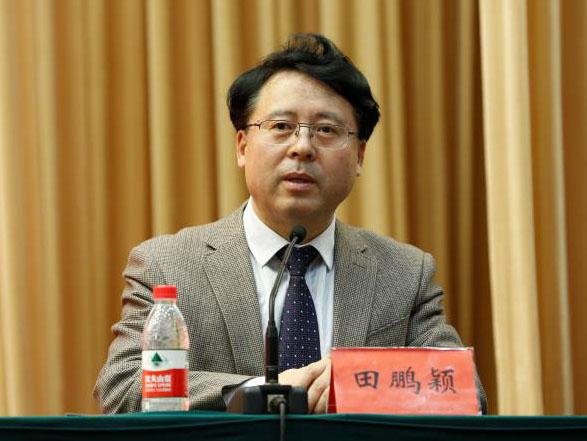 田鵬穎：投入其中、樂在其中、安身其中