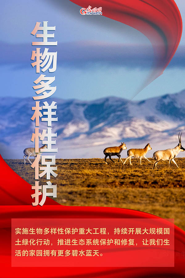 海報| 2021年政府工作報告，提到這些生態(tài)環(huán)保關(guān)鍵詞